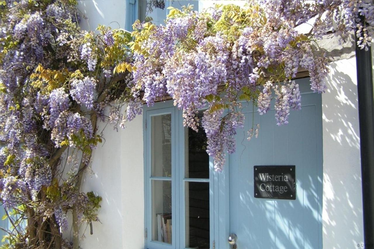 Croyde Wisteria Cottage 4 Bedrooms Dış mekan fotoğraf
